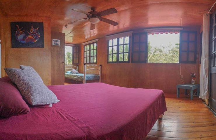 Green Monkey Hostel Bacalar Luaran gambar